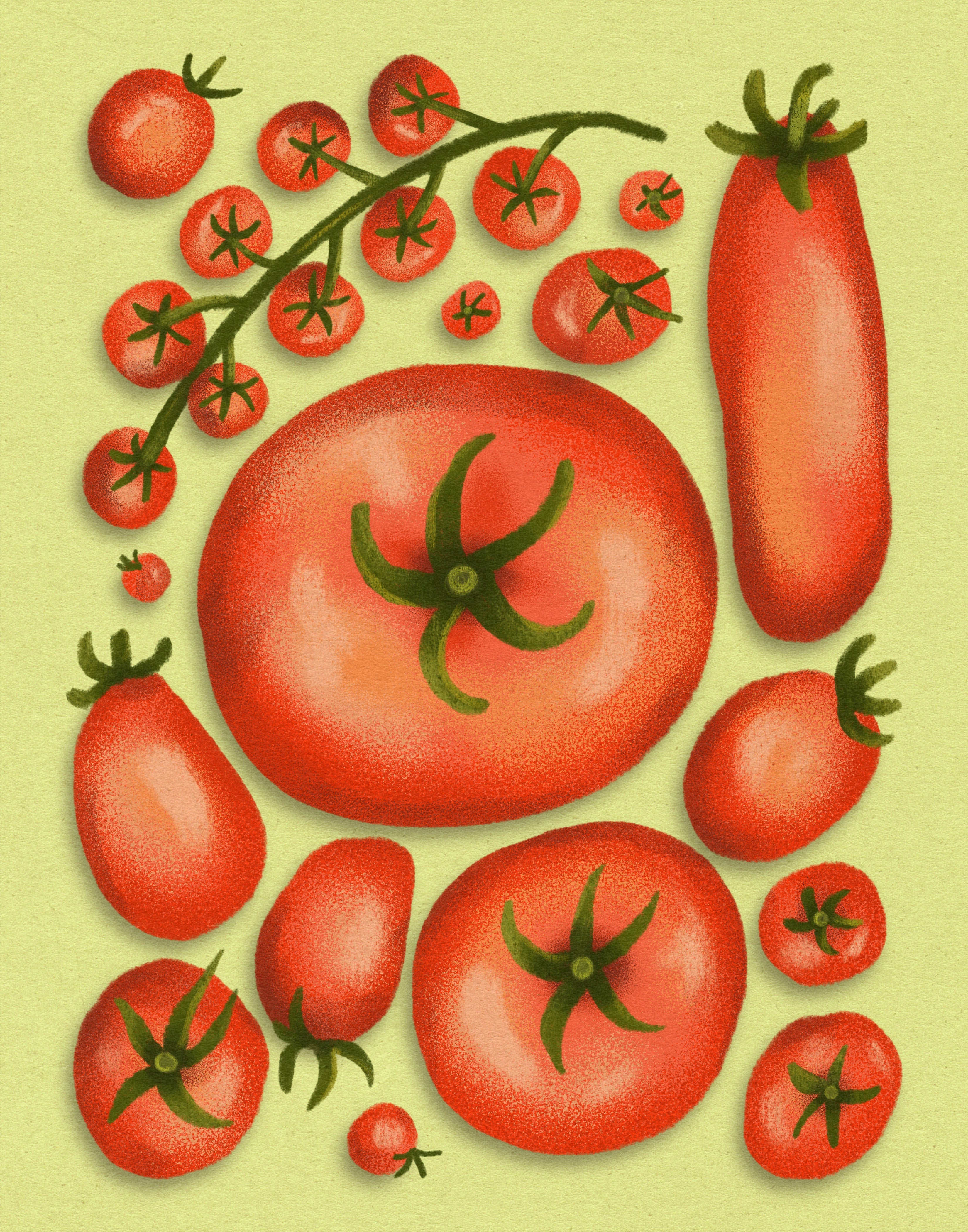 Tomato Snack