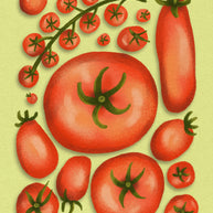 Tomato Snack