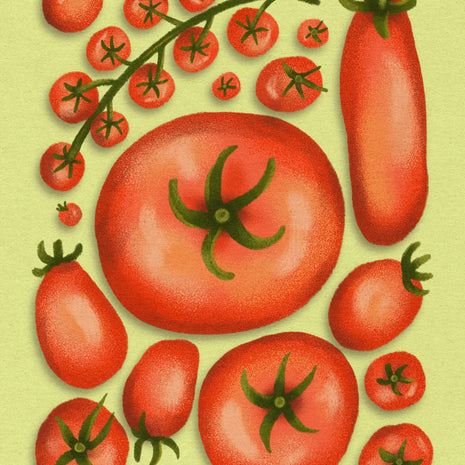 Tomato Snack