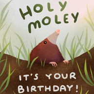 Holy Moley