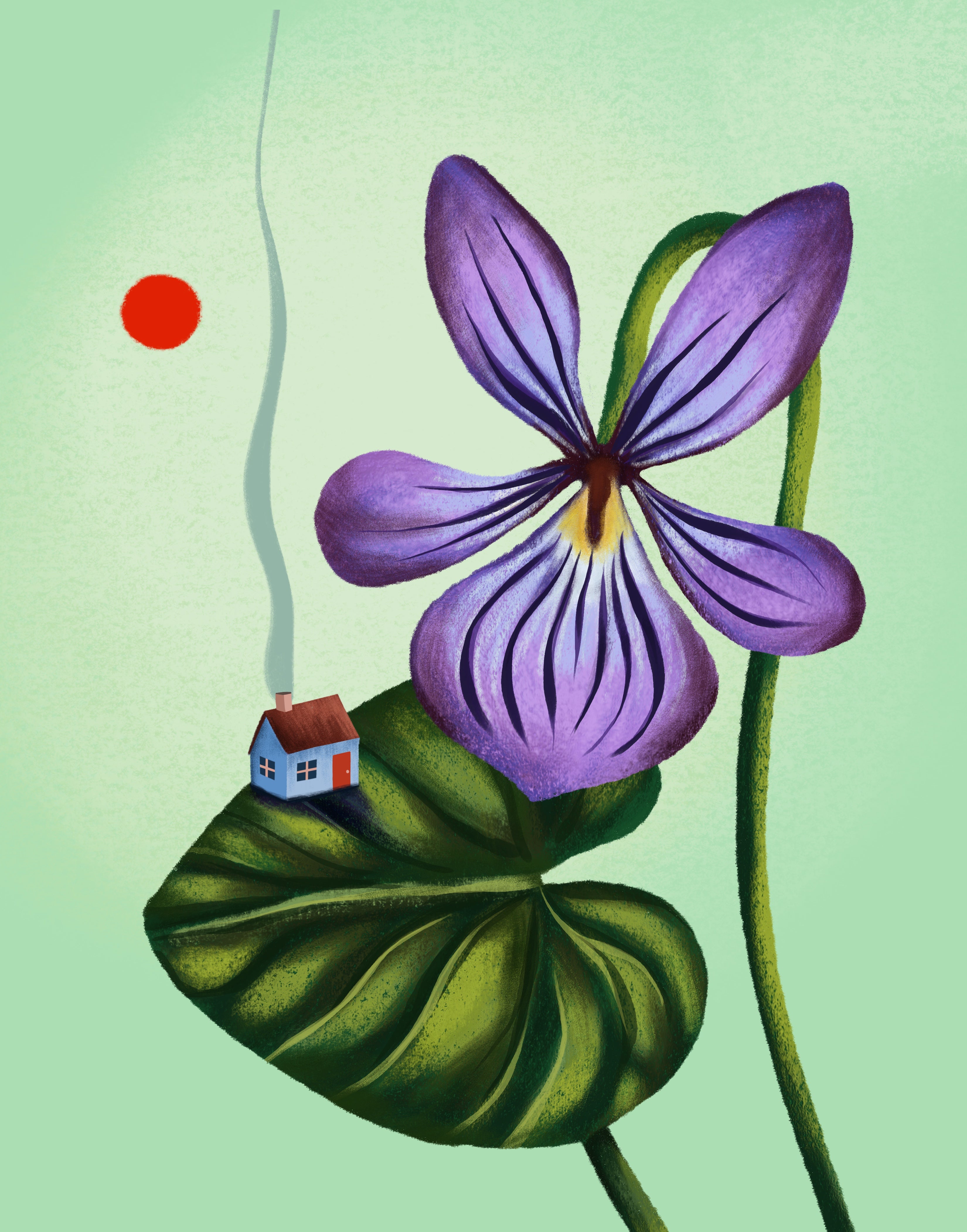 Refuge